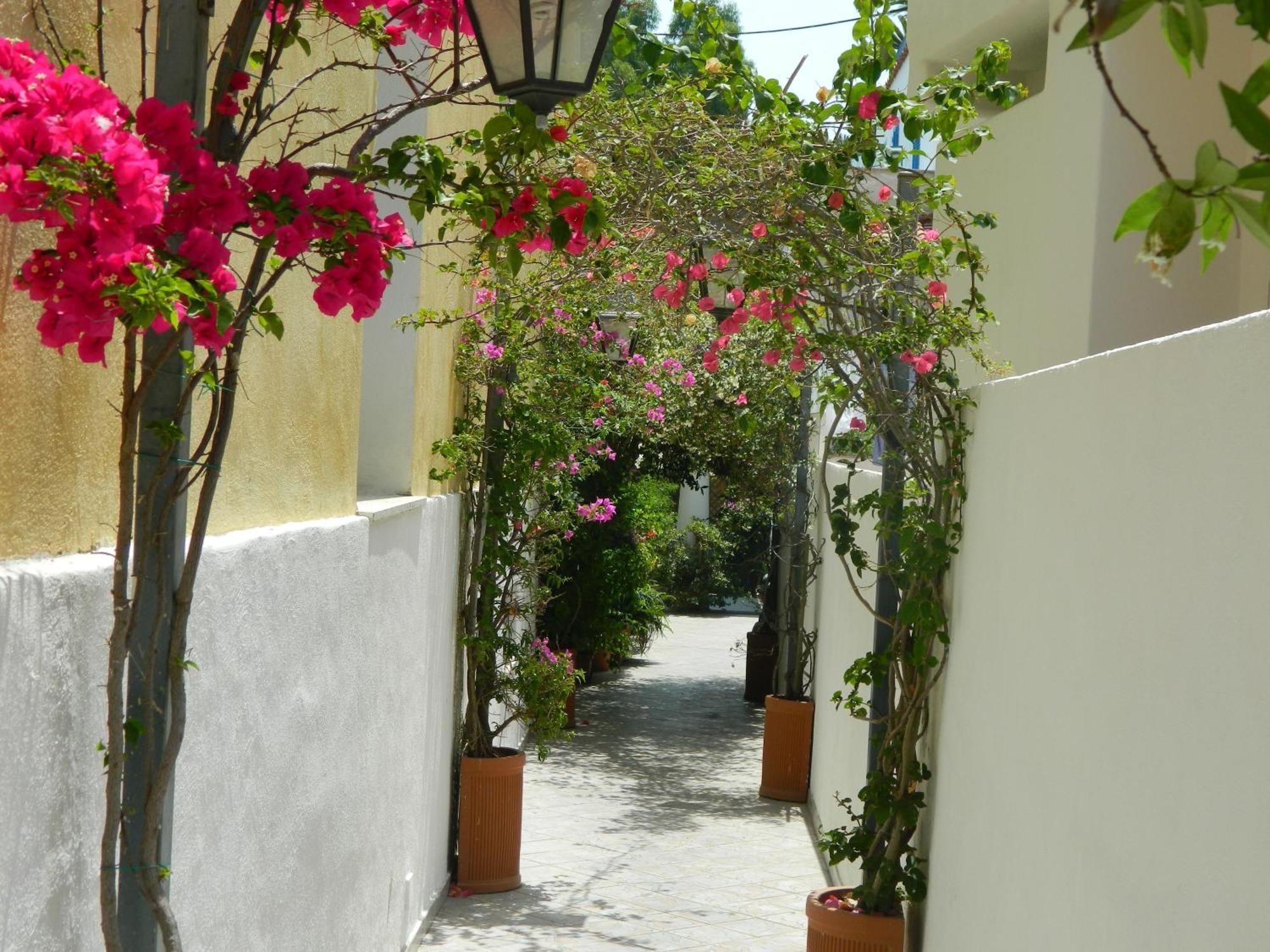 Hotel Villa Hermosa Ischia Zewnętrze zdjęcie